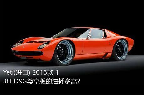 Yeti(进口) 2013款 1.8T DSG尊享版的油耗多高？