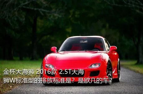 金杯大海狮 2016款 2.5T大海狮W标准型的排放标准是？是欧几的车？