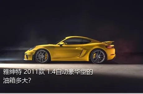 雅绅特 2011款 1.4自动豪华型的油箱多大？