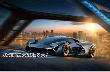 欢动的最大扭矩多大？