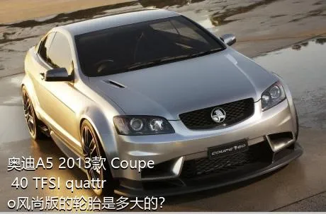 奥迪A5 2013款 Coupe 40 TFSI quattro风尚版的轮胎是多大的？