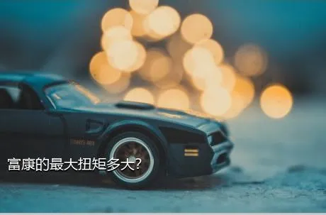 富康的最大扭矩多大？