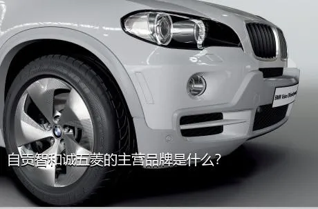 自贡智和诚五菱的主营品牌是什么？