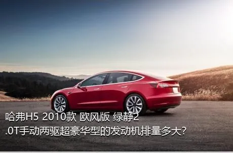 哈弗H5 2010款 欧风版 绿静2.0T手动两驱超豪华型的发动机排量多大？