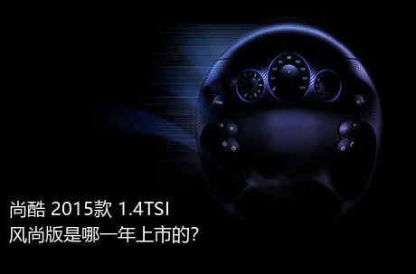 尚酷 2015款 1.4TSI 风尚版是哪一年上市的？