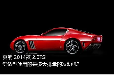 夏朗 2014款 2.0TSI 舒适型使用的是多大排量的发动机？