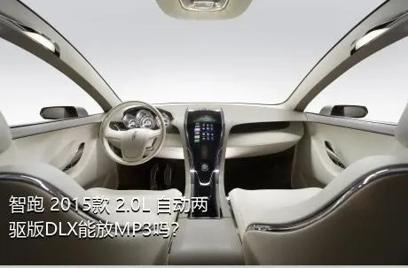 智跑 2015款 2.0L 自动两驱版DLX能放MP3吗？