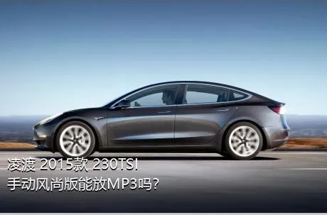 凌渡 2015款 230TSI 手动风尚版能放MP3吗？