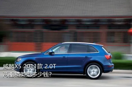 威麟X5 2011款 2.0T 两驱精英型多少钱？