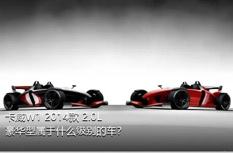 卡威W1 2014款 2.0L 豪华型属于什么级别的车？