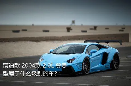 蒙迪欧 2004款 2.0L 尊贵型属于什么级别的车？