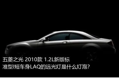 五菱之光 2010款 1.2L新版标准型I短车身LAQ的远光灯是什么灯泡？