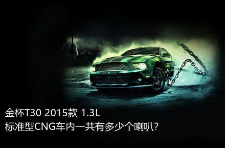 金杯T30 2015款 1.3L标准型CNG车内一共有多少个喇叭？