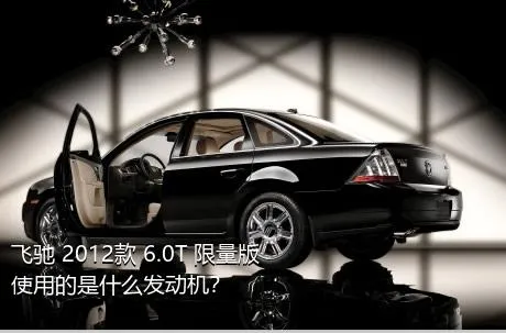 飞驰 2012款 6.0T 限量版使用的是什么发动机？