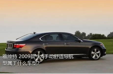 雅绅特 2009款 1.4手动舒适导航型属于什么车型？