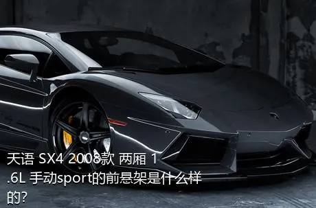 天语 SX4 2008款 两厢 1.6L 手动sport的前悬架是什么样的？