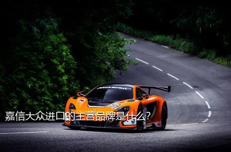 嘉信大众进口的主营品牌是什么？