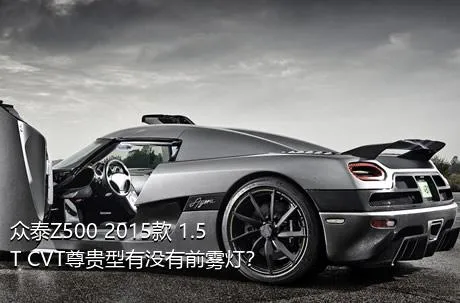 众泰Z500 2015款 1.5T CVT尊贵型有没有前雾灯？