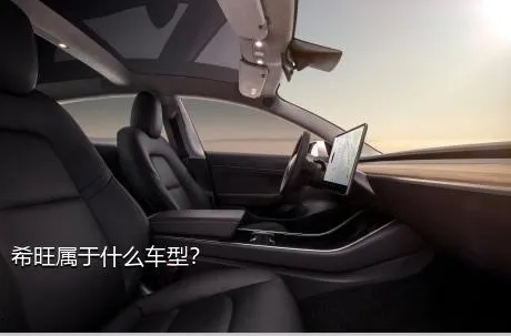 希旺属于什么车型？