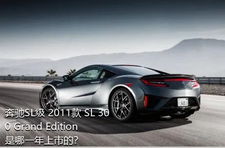 奔驰SL级 2011款 SL 300 Grand Edition是哪一年上市的？