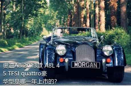 奥迪A8 2013款 A8L 45 TFSI quattro豪华型是哪一年上市的？