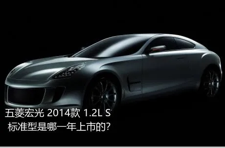 五菱宏光 2014款 1.2L S 标准型是哪一年上市的？