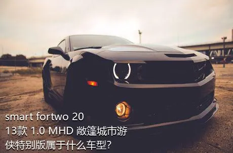 smart fortwo 2013款 1.0 MHD 敞篷城市游侠特别版属于什么车型？