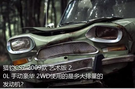 猎豹CS7 2009款 艺术版 2.0L 手动豪华 2WD使用的是多大排量的发动机？