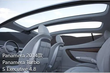 Panamera 2014款 Panamera Turbo S Executive 4.8T的后悬架是什么样的？