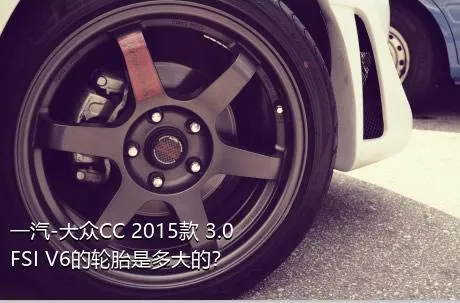 一汽-大众CC 2015款 3.0FSI V6的轮胎是多大的？