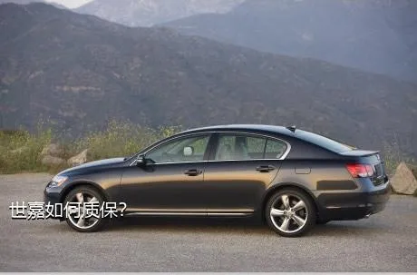 世嘉如何质保？