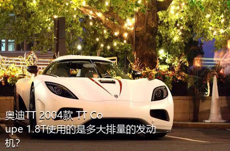 奥迪TT 2004款 TT Coupe 1.8T使用的是多大排量的发动机？