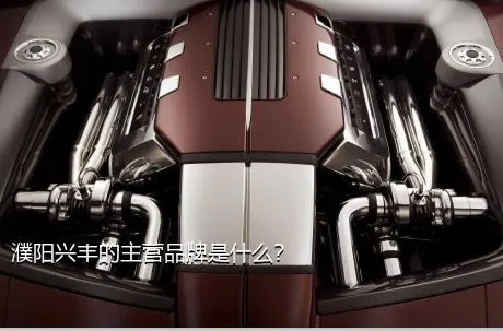 濮阳兴丰的主营品牌是什么？