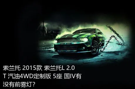 索兰托 2015款 索兰托L 2.0T 汽油4WD定制版 5座 国IV有没有前雾灯？