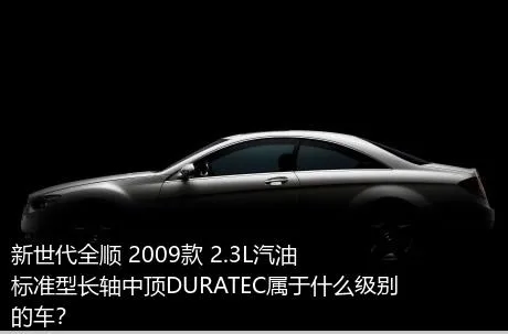 新世代全顺 2009款 2.3L汽油标准型长轴中顶DURATEC属于什么级别的车？
