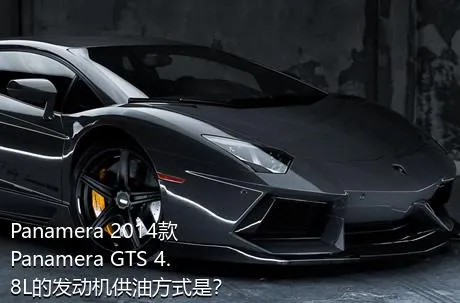 Panamera 2014款 Panamera GTS 4.8L的发动机供油方式是？