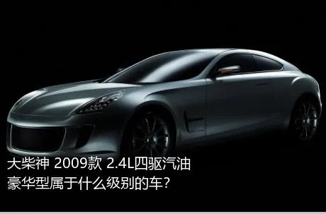 大柴神 2009款 2.4L四驱汽油豪华型属于什么级别的车？
