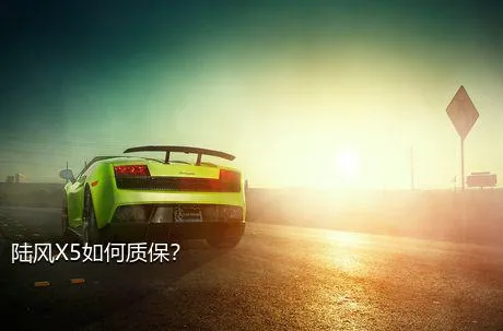 陆风X5如何质保？