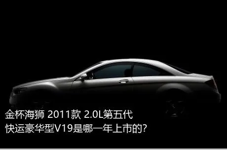 金杯海狮 2011款 2.0L第五代快运豪华型V19是哪一年上市的？