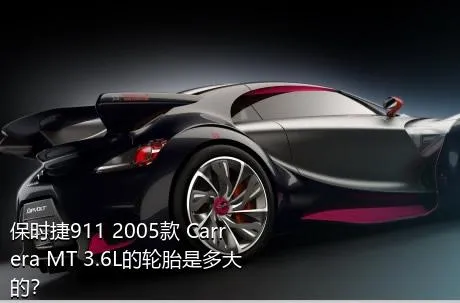 保时捷911 2005款 Carrera MT 3.6L的轮胎是多大的？