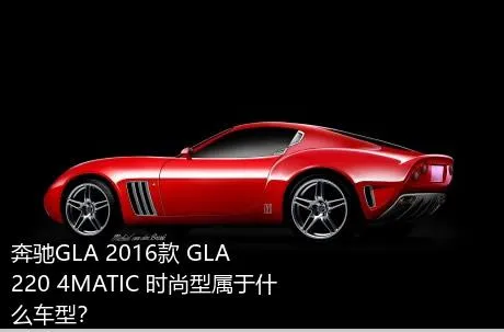 奔驰GLA 2016款 GLA 220 4MATIC 时尚型属于什么车型？