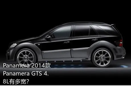 Panamera 2014款 Panamera GTS 4.8L有多宽？