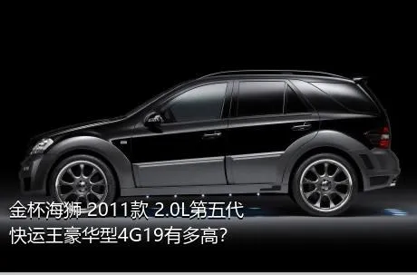 金杯海狮 2011款 2.0L第五代快运王豪华型4G19有多高？