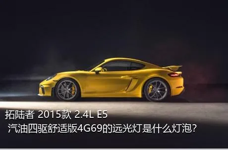 拓陆者 2015款 2.4L E5 汽油四驱舒适版4G69的远光灯是什么灯泡？