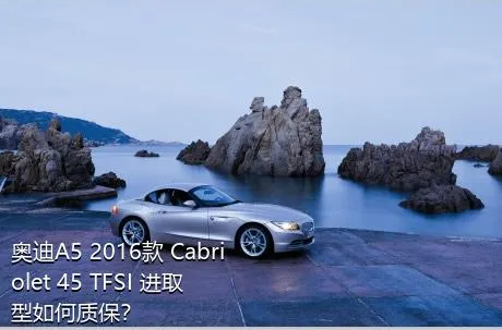 奥迪A5 2016款 Cabriolet 45 TFSI 进取型如何质保？