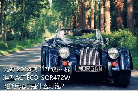 优劲 2016款 1.2L双排 标准型ACTECO-SQR472WB的近光灯是什么灯泡？