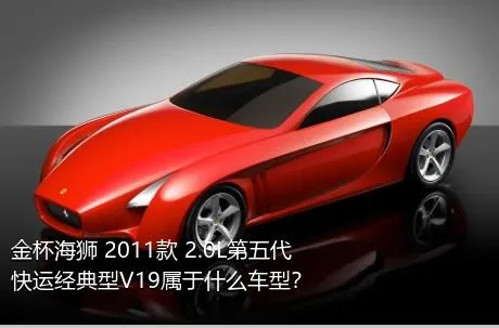 金杯海狮 2011款 2.0L第五代快运经典型V19属于什么车型？