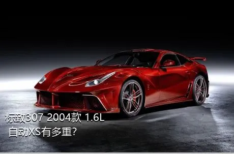 标致307 2004款 1.6L 自动XS有多重？