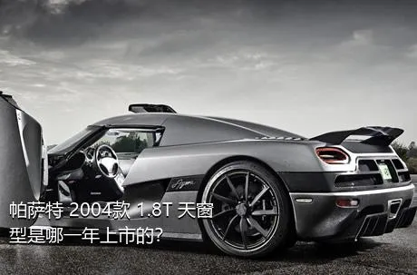 帕萨特 2004款 1.8T 天窗型是哪一年上市的？