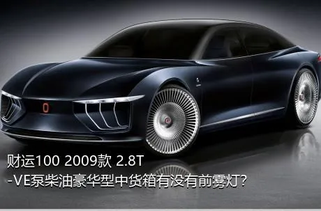 财运100 2009款 2.8T-VE泵柴油豪华型中货箱有没有前雾灯？